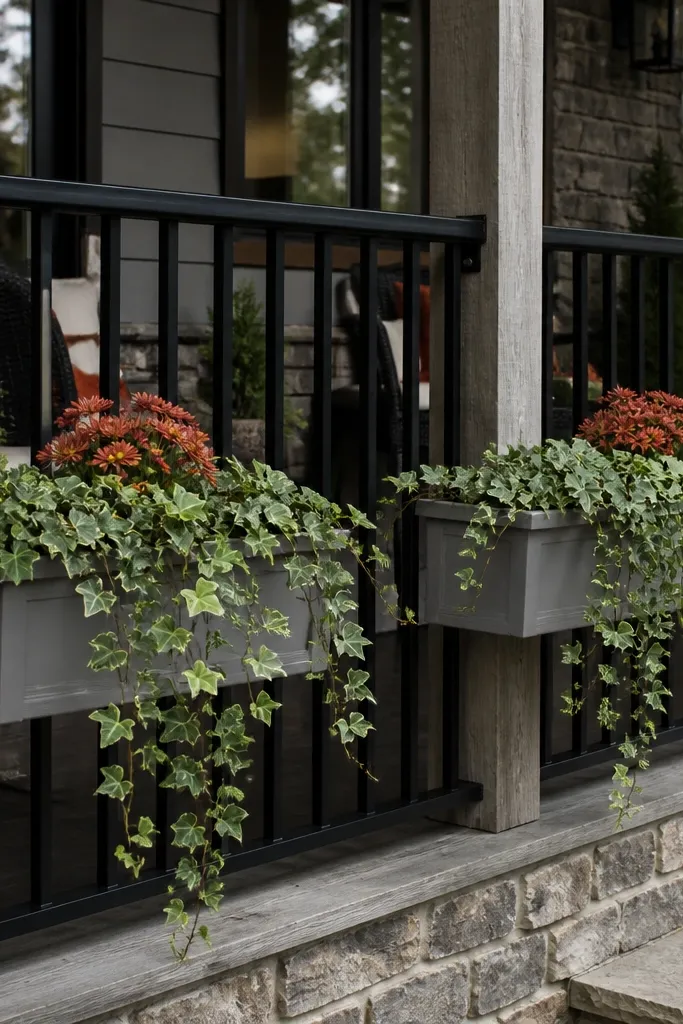 Two railing planter boxes with trailing ivy and one rust-toned flower