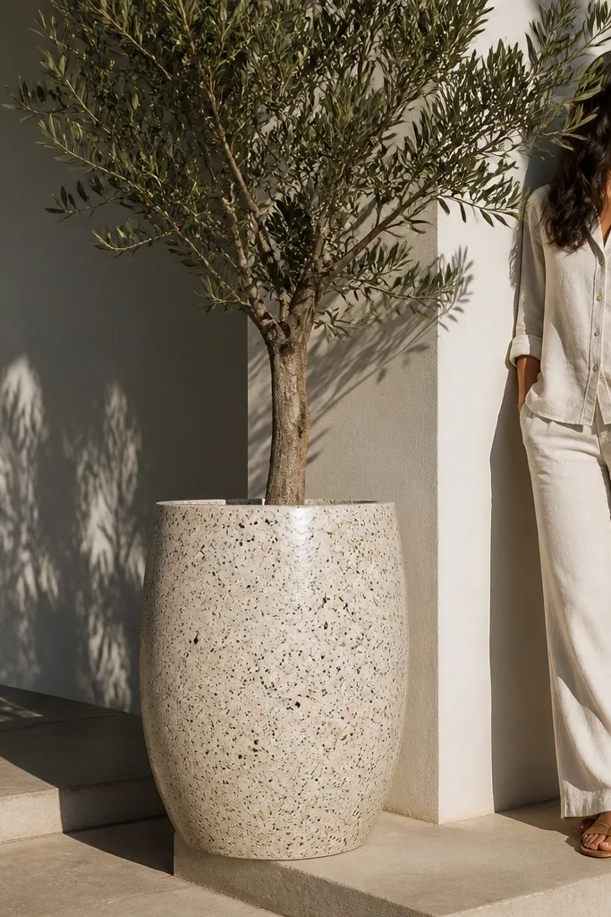 Terrazzo-look planter holding a single tall olive tree by the porch door